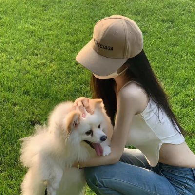 飞蛾日记