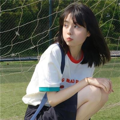 没人瞭波斯猫